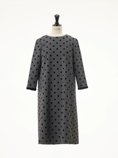 STRAWBERRY-FIELDS(ストロベリーフィールズ) |衿取り外しＡラインワンピース