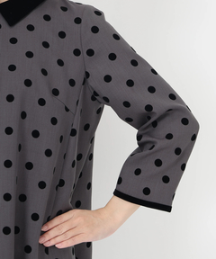 STRAWBERRY-FIELDS(ストロベリーフィールズ) |衿取り外しＡラインワンピース